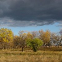 Дивногорье :: Александр Швец