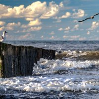 North Sea coast :: Сергей Мясников