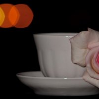 Кофе и роза :: Viktor Vishnevskiy