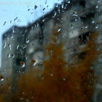 Дождь :: Маргарита Брижан