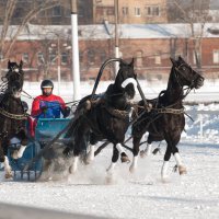 Русская тройка :: Марина Напылова