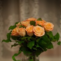 Цветы для любимой. :: Станислав Сорокин