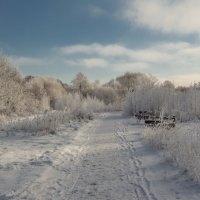 Зимняя сказка :: Людмила Шатова