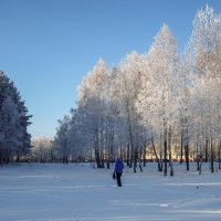 По проселочной дороге шел я, молча :: Ирина Приходько