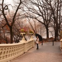 Центральный парк Нью-Йорк :: Татьяна Клименко