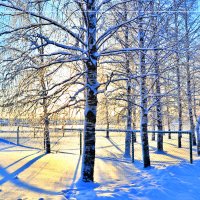 Свет дня :: Александр Преображенский 