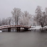 ... :: Александр Капустян