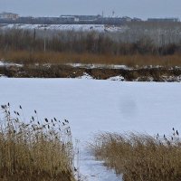 вид на город :: Елена Ганичева