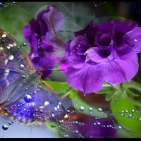 Голубая бабочка :: Людмила Морозова 