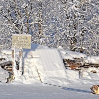 Осторожно, принципиальная собака! :: Табаско Перчик