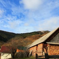 Красота Карпат :: Роман 