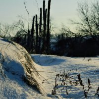 Зимняя красота. :: Виктория Гончаренко