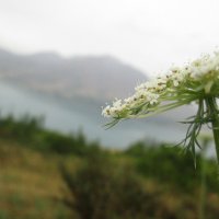 в горах Узбекистана :: Екатерина 