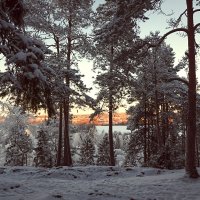 Поет зима - аукает, мохнатый лес баюкает... :: Elena Klimova