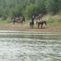 фото :: Александр Васильев 