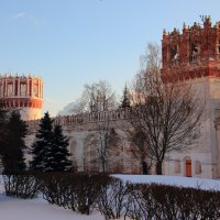 Новодевичий монастырь :: Анна Букина