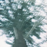 Holga 135 TIM :: Екатерина Анзылова