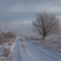 Дорога в туман :: Олег Самотохин