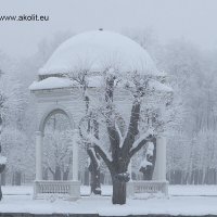 Fotostuudio Akolit, Tallinn :: Аркадий  Баранов Arkadi Baranov