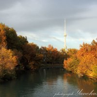 Осенний пейзаж :: Svetlana 