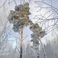 В дали от своих :: Kassen Kussulbaev