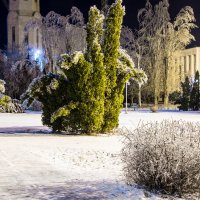 Ночь зима :: Григорий Осипенко