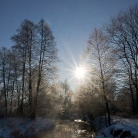 Лучи тепла :: Евгения Стасеня