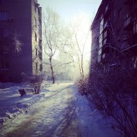 Мороз :: Андрей Зинченко