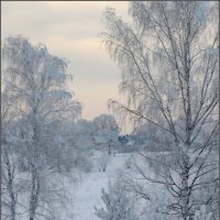 зима :: Valentin Valentin