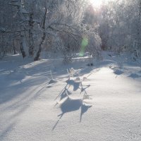 *** :: Юрий Шерстнев