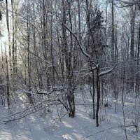 Зима :: Алексей Михалев