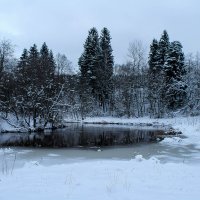 На реке... :: Любовь Анищенко