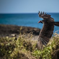 Что стоит поменять в фото? :: Яна "