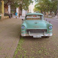 Green car and the leaves :: Arman S