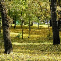 Осенние зарисовки :: Инна Ивановна Нарута