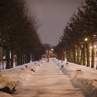 зимний вечер :: ник. петрович земцов