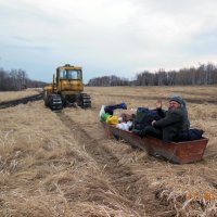 По полям, по волнам :: Игорь Пожалуйстин