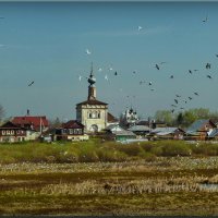 Май в Суздале! :: Владимир Шошин