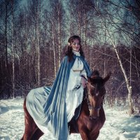 Зимняя встреча на лошадях 2 :: Любовь Борисова