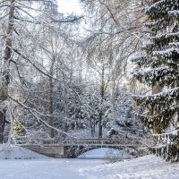 Зимний Пушкин :: Татьяна Григорьева-Яковлева