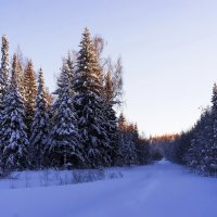 Вечереет. :: Валерий Молоток