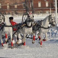 Русская тройка :: Марина Напылова