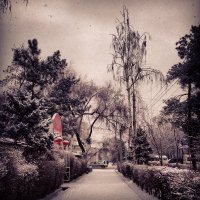 А снег идет :: Крестинка Zakharova