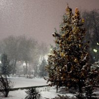 .... а снег идет. :: Григорий Карамянц