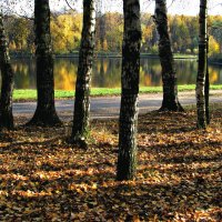 Осеннем парке городском вальсирует листва берез... :: Ольга Маркович