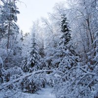 Зима :: Павел Фролов