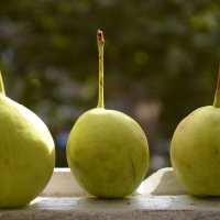 The pears... :: Sone photography