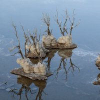 Мертвое море 1 :: susanna vasershtein