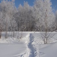 Чародейка зима. :: Галина Мухина