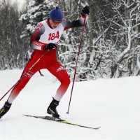 Гонка :: Александр Неустроев